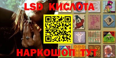 мдпв Кудрово