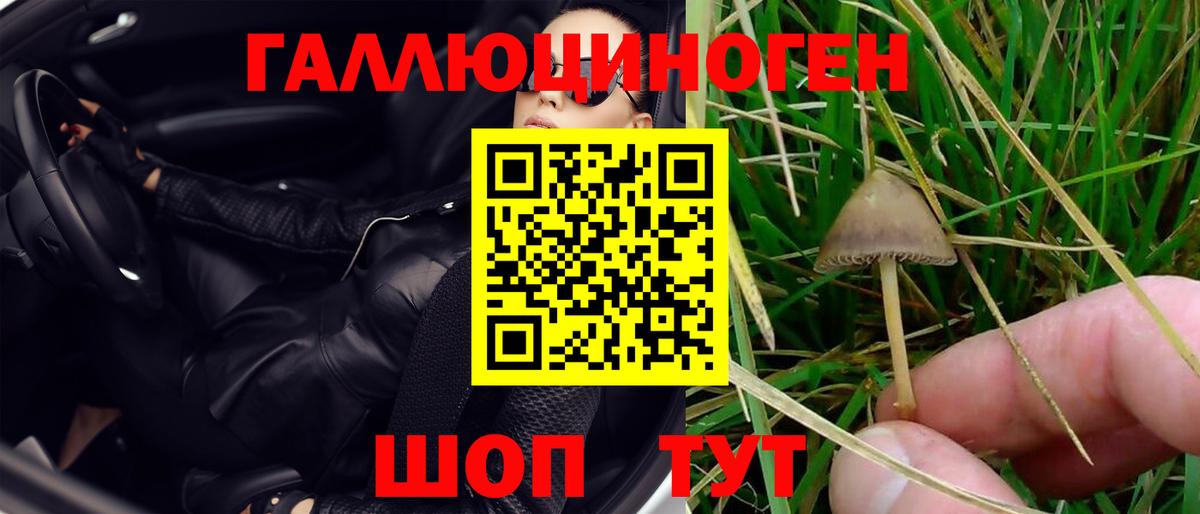 Галлюциногенные грибы Psilocybe  Вход с VPN  Киселёвск  Псилоцибиновые грибы Cubensis 